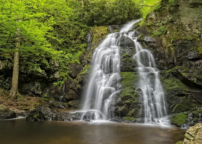 Smoky Mountain Gem